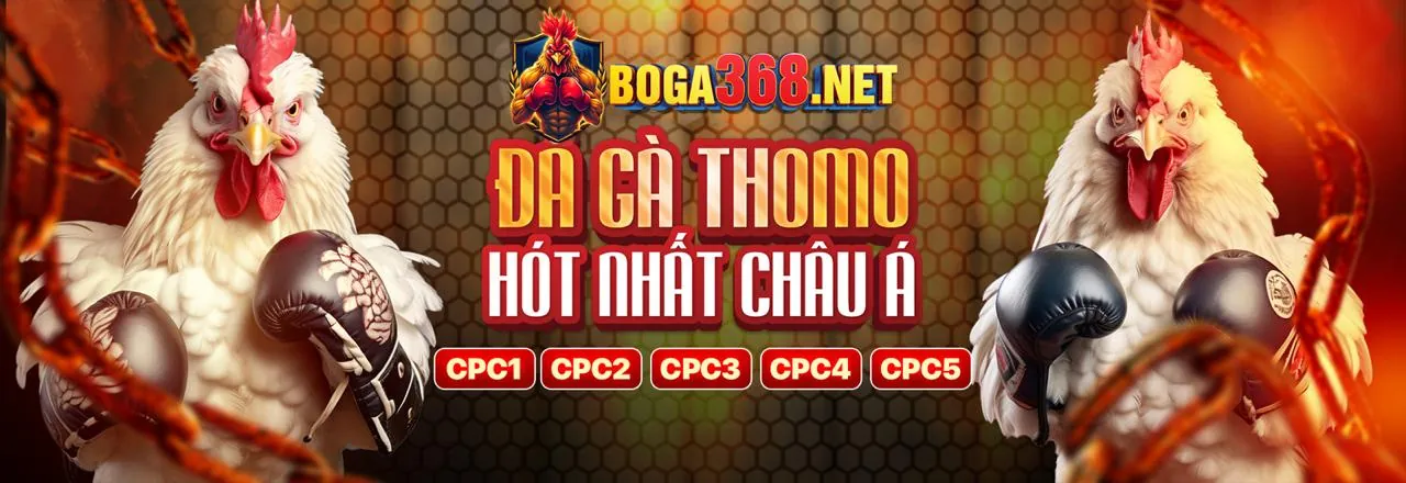 Đá Gà Trực Tuyến 88open - Trải Nghiệm Đỉnh Cao 2026
