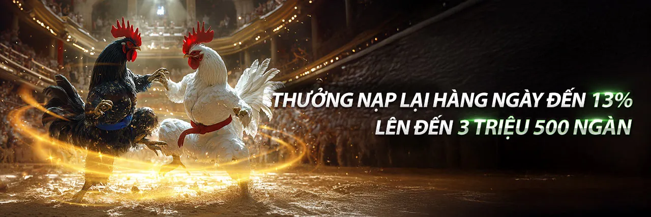Hình ảnh chính blog 88open về cá cược trực tuyến