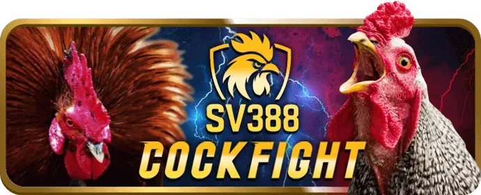 Hoàn trả không giới hạn 88open